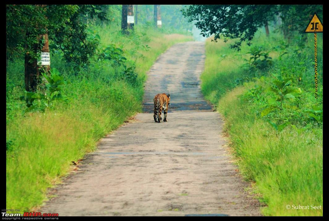 tadoba tour package